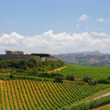 Alessandro Willa Castellammare del Golfo